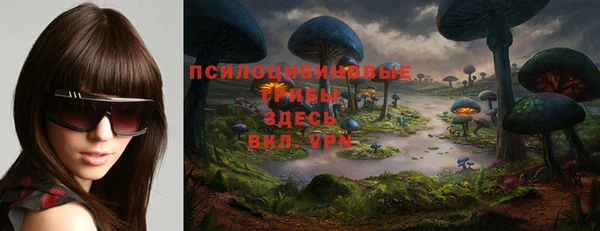 прущие грибы Киреевск
