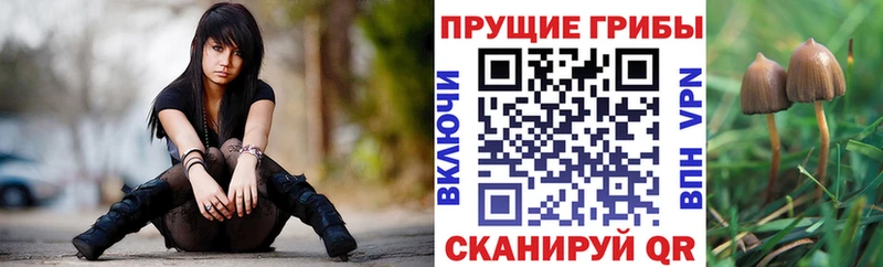 blacksprut ONION  даркнет как зайти  Псилоцибиновые грибы MAGIC MUSHROOMS  Городище 